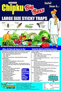 Chipku Large Insect Trap Blue Sticky Trap Large Size (A4) for leaf minor aphids Useful in Farm, Poly house Pack of 10 Traps