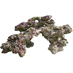 Haquoss Rock Viva in Harz 6, 48x 33x 25h cm