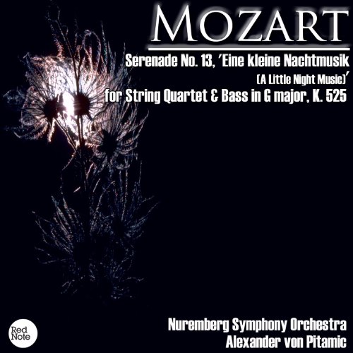 Mozart Serenade No. 13, 'Eine kleine Nachtmusik (A Little Night Music
