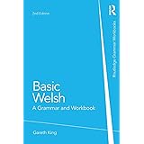 Basic Welsh: A Grammar and Workbook (Routledge Grammar Workbooks)