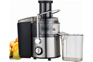 SWZEC Snapbuy Entsafter aus Edelstahl mit großer Einfüllöffnung und 2 Geschwindigkeitsstufen（Silber）