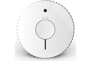 FIREANGEL Fire Angel Détecteur de fumée Optique avec Piles remplaçables FA6115-INT (ST-625, Nouvelle génération)