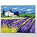 Produktbild CYKEJISD Puzzle 1000 Teile 3D Puzzle Roma Tic Lavender Manor Das Billige Moderne Für Kunst Wohnkultur 75X50Cm