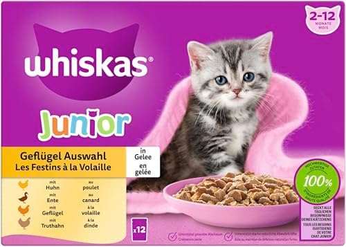 WHISKAS Junior, sacchetto per cibo umido, confezione multipla, selezione di pollame in gelatina, 12 x 85 g