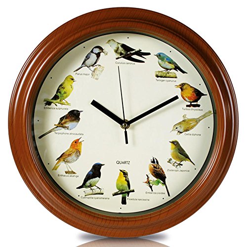 HC-Handel 912109 Wanduhr Uhr Vogelwelt mit Vogelstimmen 33 cm braun