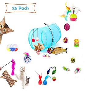 a ray of sunshine Cat Toys for Indoor Cats,Juguete Interactivo para Gatos Ratón y Bolas,Juguetes Interactivos Gatos,Juguetes para Gatos(26pcs)