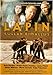 Gold Fever in Lapland ( Lapin kullan kimallus ) [DVD]