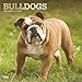 Bulldogs - Bulldoggen 2020 - 16-Monatskalender mit freier DogDays-App: Original BrownTrout-Kalender [Mehrsprachig] [Kalender] (Wall-Kalender) by 