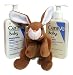 Cerave Baby Skin Care Bundle- Cerave Baby Wash & Shampoo & Cerave Baby Moisturizing Lotion (8oz Ea) + Brown Bunny RS.4209.00