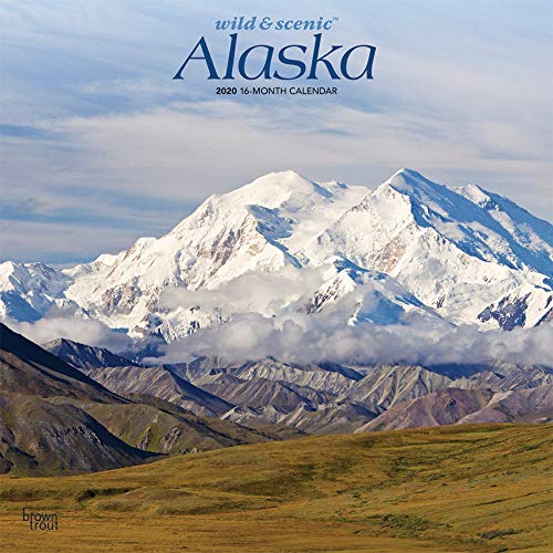 Télécharger Wild & Scenic Alaska 2020 Calendar PDF