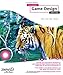 Foundation Game Design with Flash (Foundations) (English Edition) by