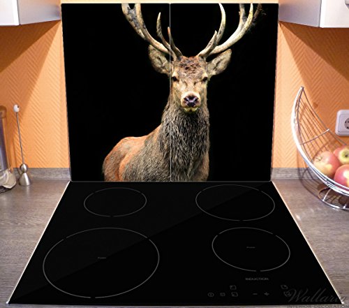 Wallario Herdabdeckplatte / Spritzschutz aus Glas, 2-teilig, 60x52cm, für Ceran- und Induktionsherde, Stattlicher Rothirsch - 3