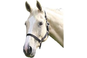 Shires Licol d'équitation en nylon pour cheval