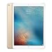 Produktbild Apple 10.5 IPAD PRO WIFI 512GB GOLD, MPGK2B_A (***UK***)