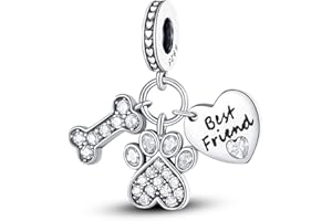 Pandach Charme Monde Global Argent 925 Sterling Femmes Perles Charm Pendentif Breloque avec 5A Zircone Compatible pour Européen Bracelets Collier,Christmas Gifts for Family/Friends