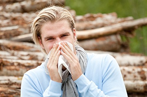 Windhager Pollen-Stop Gewebe, 130 x 150 cm inklusive Klettband, schwarz, 03382 - 7
