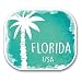 Produktbild 2 x Florida USA vinyl Aufkleber Aufkleber Laptop Reise Gepäck Auto Ipad Schild Fun # 6348 - 15cm/150mm Wide