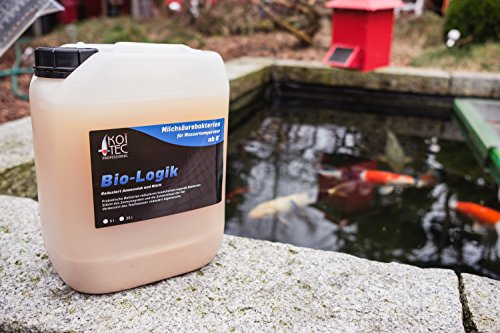 Milchsäurebakterien (5 L) für Teich und Koiteich steigern die Gesundheit der Koi – probiotische Filterbakterien Filterstarter Starterbakterien Teichbakterien reduzieren Schadstoffe (Ammoniak, Nitrit), Algen und Schlamm für ein klares und sauerstoffhaltiges Teichwasser im Gartenteich - 4
