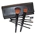 LyDia professional 7 pieces black face powder/foundation/concealer/eye shadow makeup brush set with black case