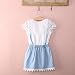Internet Baby Kids Girls Dress Princess Party Denim Flower Tutu Dresses for 2-7 Years Old (2-3 years old)