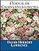 Produktbild Odour of Chrysanthemums: A First Unabridged Edition (Annotated) By David Herbert Lawrence.