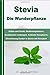 Produktbild Stevia - Die Wunderpflanze: Anbau und Zucht, Studienergebnisse, Krankheiten vorbeugen, heilende Rezepturen, Umrechnung Zucker in Stevia mit Rezepten