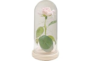 UNIQICON La Bella e La Bestia Rose Incantate, Rosa Eterna, Elegante Cupola di Vetro con Base Pino Luci LED, Romantico Kit di Rose per Il San Valentino Anniversario Matrimonio Regalo di Festa della Mamma