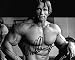 Produktbild Limited Edition Arnold Schwarzenegger Signiert Foto Autogramm signiertsigniertes