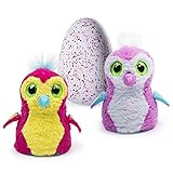 Hatchimals vive en el interior de huevos. ¿Quién está dentro? ¡Es una sorpresa! Sujetarlos para oír sus latidos de corazón, volar ellos para la diversión, la gorra y ellos se volverán