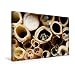 Produktbild Calvendo Premium Textil-Leinwand 45 cm x 30 cm quer, EIN Motiv aus dem Kalender Wildbienen und andere Besucher am Insektenhotel | Wandbild, Bild auf Leinwand, Leinwanddruck Tiere Tiere