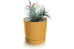 magubo Blumentopf mit Untersetzer, Übertöpfe für Zimmerpflanzen, Pflanzkübel, Übertopf Kompakt, 11 cm Durchmesser, Elegantes Design für Innen- und Außenbereich (Gelb, 110)