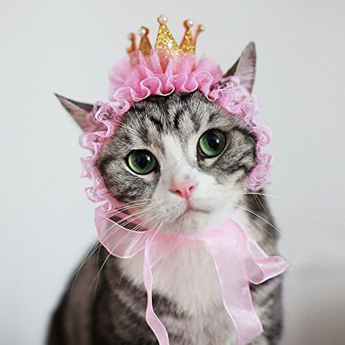 CWYP 2 different style pet hats for birthday party cat dog crown magic caps lovely and beautiful lace pet caps hair accessories 2018,golden crown,M
