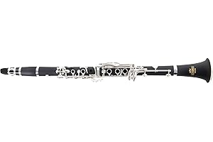 Roy Benson Bb Clarinet CB-318 (corpo in ABS Premium, sistema Boehm, inclusi bocchino USA e accessori per la cura, in custodia rettangolare leggera, con set di zaini)