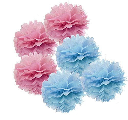 CUTADORNS 6pcs Tissue Paper Pom Poms Flower Ball Hanging Pom for
Wedding Party Outdoor Decoration Bridal Shower Party Baby Shower (Pink
and Baby Blue)