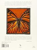Image de La Mariposa