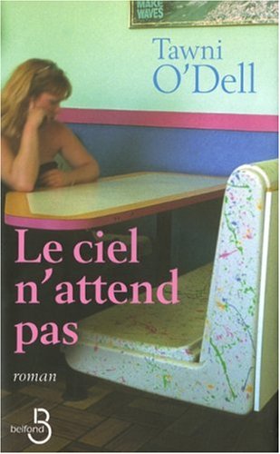 couverture de : Le Ciel n'attend pas