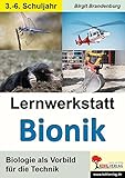 Image de Lernwerkstatt Bionik: Biologie als Vorbild für die Technik