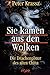 Sie kamen aus den Wolken. Die Drachengötter des alten China by 