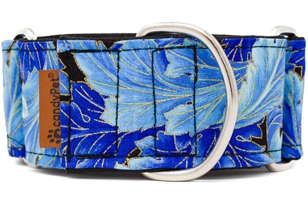 candyPet - Collier Martingale pour Chiens, Acanthus, M