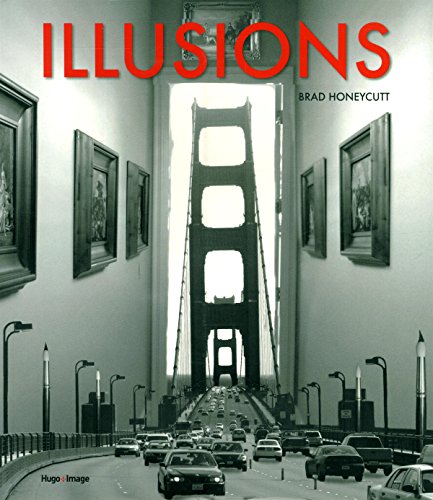 couverture de : Illusions