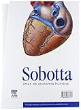 Image de Pack Anatomía Sobotta: Paulsen + Feneis