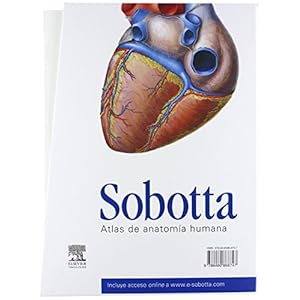 Pack Anatomía Sobotta: Paulsen + Feneis