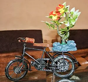 Dannyboyzs Iron Bicycle Plant Stand, Metal Wire Flower Pot Wrought Iron Planter for Flowers, Dinning Table, Office, Center Table Decoration 9x8 inch