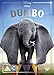 Disney Dumbo Live Action [DVD] [2019]