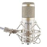 Mugig Kondensator Mikrofon Professionell Studio Rundfunk Aufnahme Kit Aussetzung