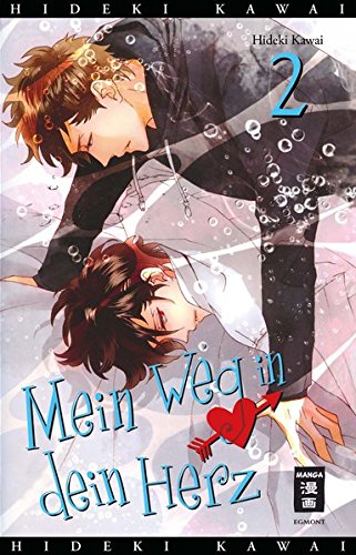 Book's Cover ofMein Weg in dein Herz 02