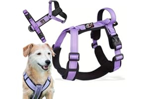 Lalazoo Uprząż dla psa typu Guard Capri XL, fioletowa, regulowana uprząż dla dużych psów, odblaskowa, oddychająca i wygodna, z neoprenową wyściółką i uchwytem