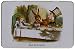 Produktbild New English Teas Alice's Adventures in Wonderland Selection Tin 200 g (Pack of 1, Total 100 Teabags)