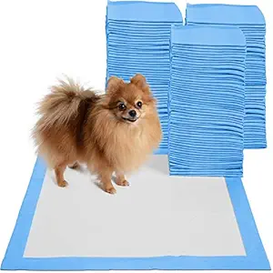 PoochBox Training Pads to Potty Train Your Dog (60 x 60 cm) -Pack of 20