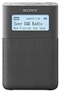 Sony XDR-V20D Radio portable digitale DAB/DAB+/FM - Gris